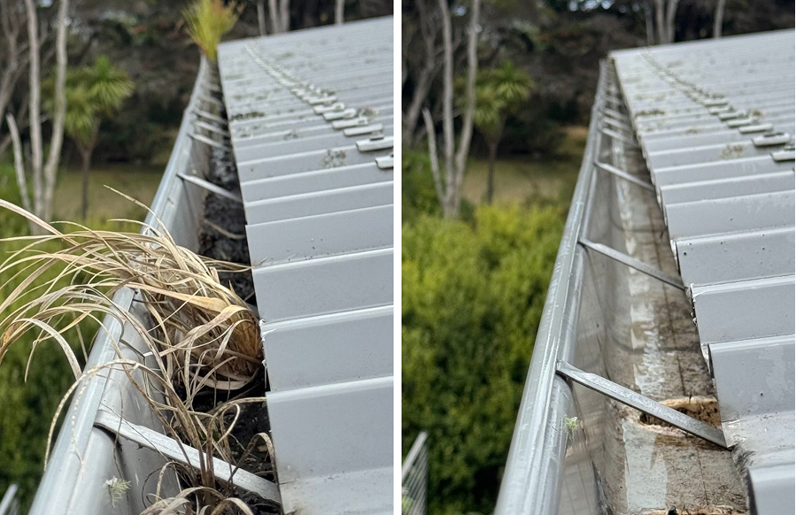 Professional soft washing service