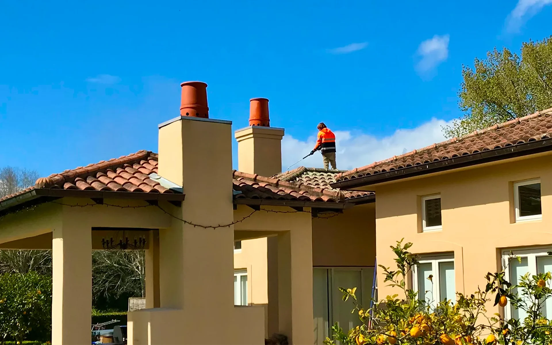 Clean Auckland home exterior