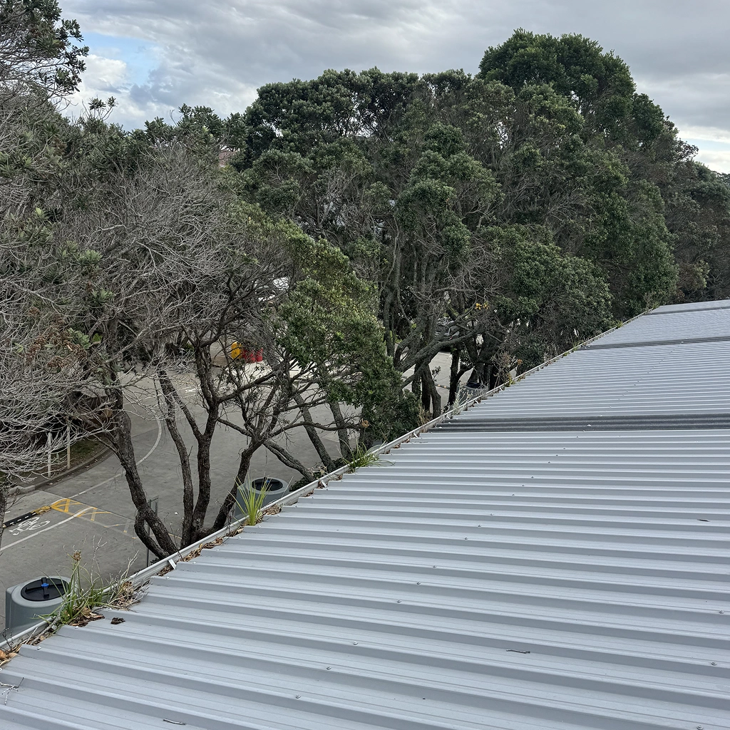 Takapuna Grammar School - Photo 4